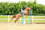SBM_000288