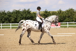 SBM_002043