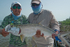 Griffo's tarpon