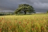 UK_2024_Eynsford_16