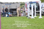 BPP_6595