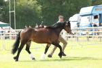 SBM_02159