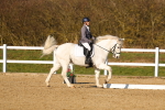 SBM_004591