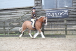 SBM_006270