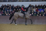 SBM_006404