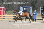 BPP_8527