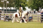 SBM_06196