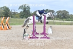 CLASS 7 Pony Newcomers/ 1m Open portfolio