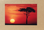013 African Sunset