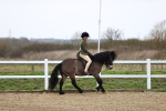 SBM_007451