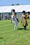 SBM_05939