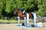 Cls 51 British Novice 90cm Open portfolio