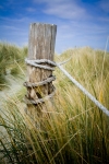 In the Dunes