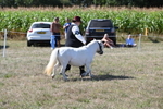 WJ6_4797