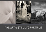 fine art portfolio