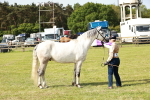 SBM_01672