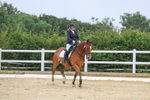 Class 3: Novice 4 2024 portfolio