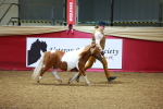 SBM_00258