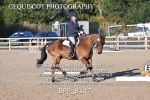 BPP_8147