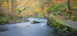 Autumn River