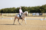 SBM_002293