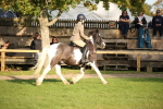SBM_54351