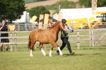 SBM_10488