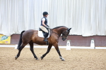 SBM_001013
