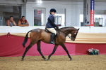 SBM_14951