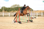 SBM_007309
