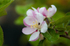 ACP_3403-1