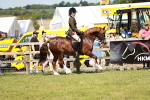 SBM_08489