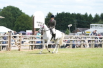 SBM_16172