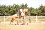 SBM_000790