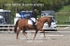 BPP_6074