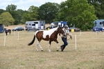 WJ6_5289
