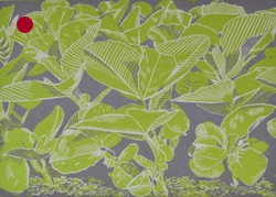 Broad bean magic
