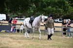 WJ6_3845