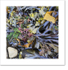 Seaweed I
