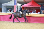 SBM_00760