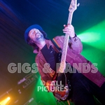 Peppered Ants Legs-17