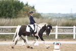 SBM_003653