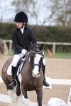 Unaffiliated Dressage portfolio