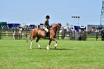 SBM_03842