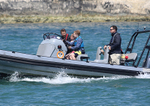 130526 ANIMAL RIB WT7A4517
