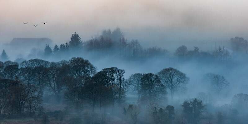 Finding Their Way Home, Glen of Imaal, Co Wicklow