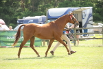 SBM_09128