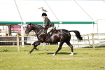 SBM_19253