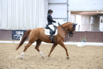 SBM_008050