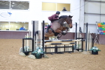 SBM_008334